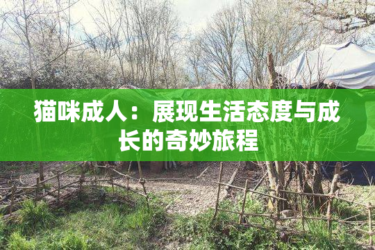 猫咪成人：展现生活态度与成长的奇妙旅程