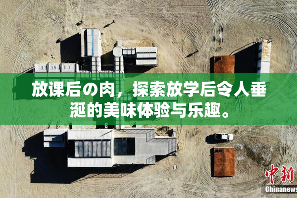 放课后の肉，探索放学后令人垂涎的美味体验与乐趣。