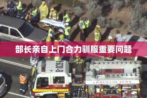部长亲自上门合力驯服重要问题