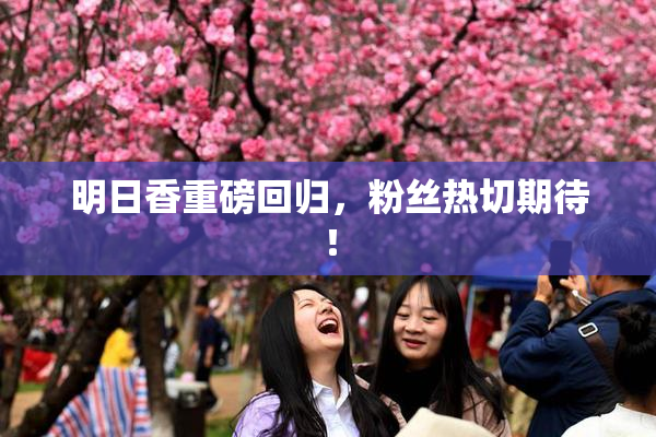 明日香重磅回归，粉丝热切期待！