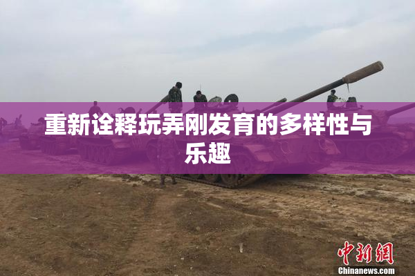 重新诠释玩弄刚发育的多样性与乐趣
