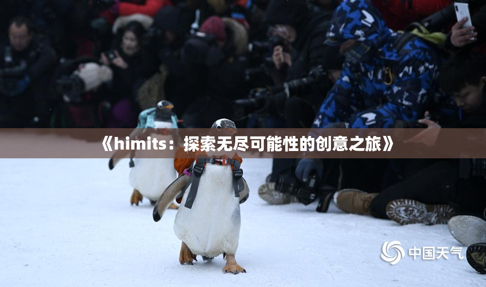 《himits：探索无尽可能性的创意之旅》