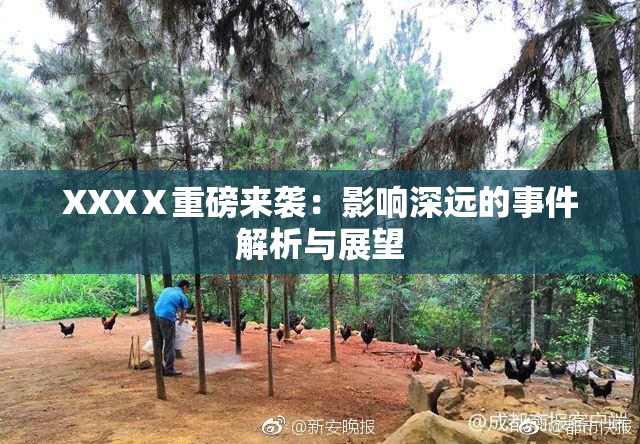 XXXⅩ重磅来袭：影响深远的事件解析与展望