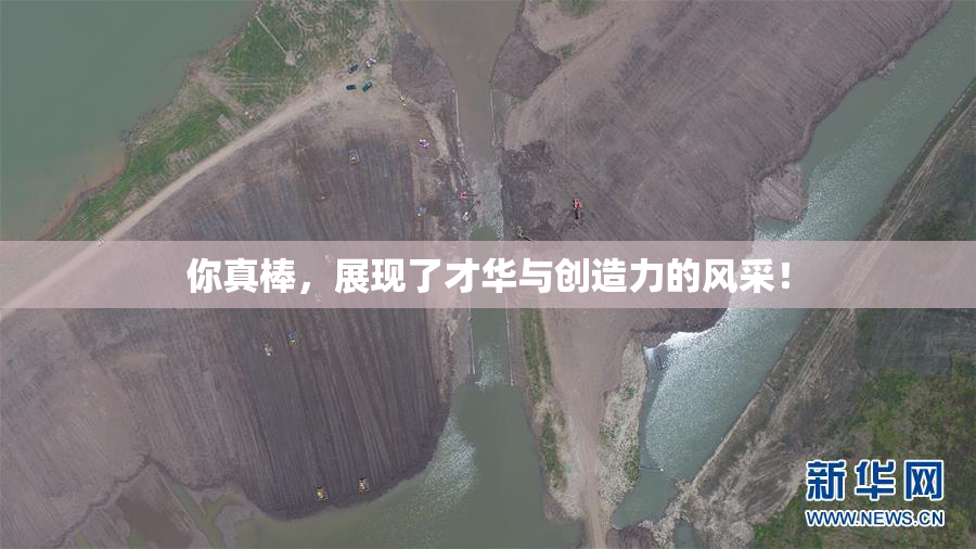 你真棒，展现了才华与创造力的风采！