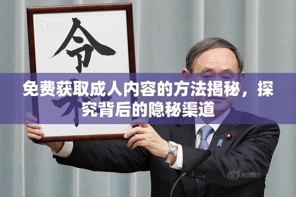 免费获取成人内容的方法揭秘，探究背后的隐秘渠道