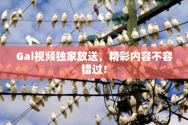 Gai视频独家放送，精彩内容不容错过！