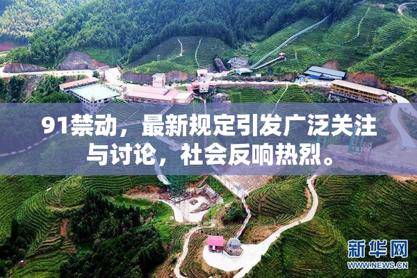 91禁动，最新规定引发广泛关注与讨论，社会反响热烈。