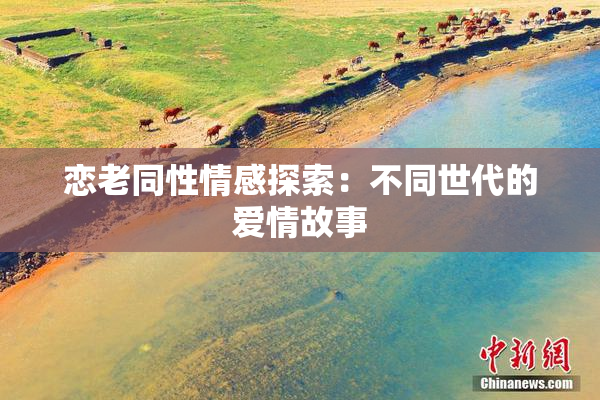 恋老同性情感探索：不同世代的爱情故事