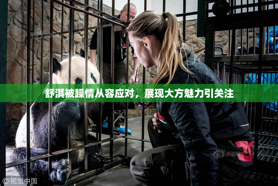舒淇被躁情从容应对，展现大方魅力引关注
