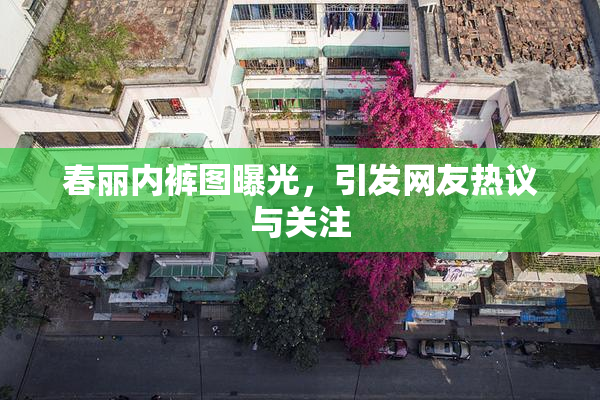 春丽内裤图曝光，引发网友热议与关注