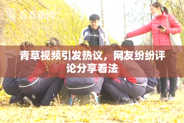 青草视频引发热议，网友纷纷评论分享看法