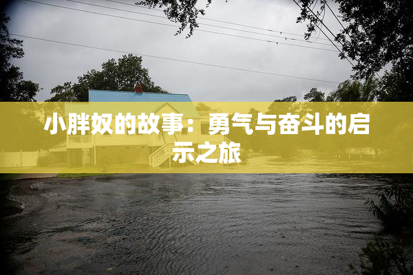 小胖奴的故事：勇气与奋斗的启示之旅