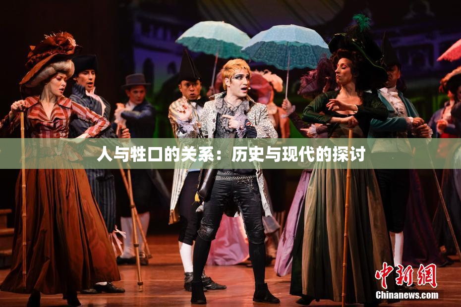 人与牲口的关系：历史与现代的探讨