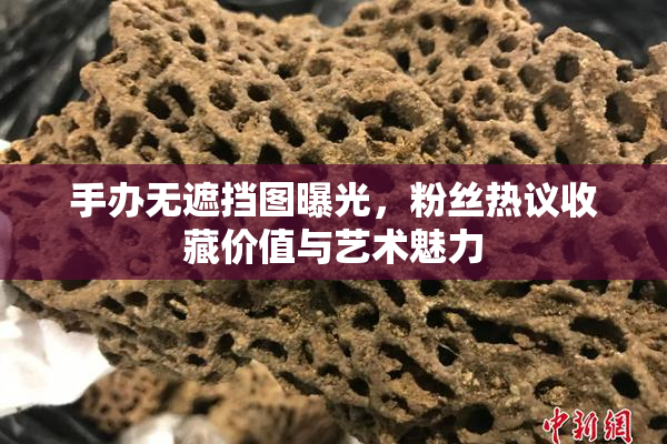 手办无遮挡图曝光，粉丝热议收藏价值与艺术魅力