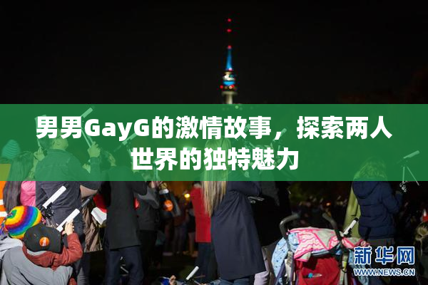 男男GayG的激情故事，探索两人世界的独特魅力
