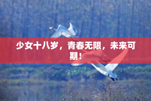 少女十八岁，青春无限，未来可期！