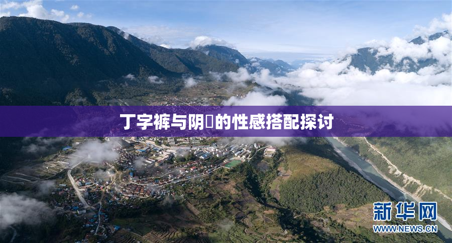 丁字裤与阴脣的性感搭配探讨