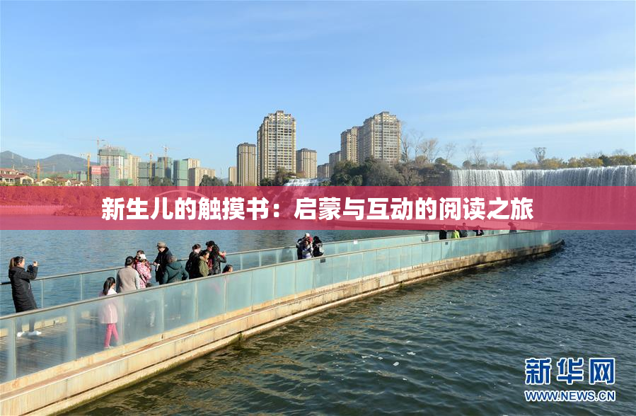 新生儿的触摸书：启蒙与互动的阅读之旅