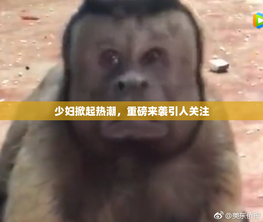 少妇掀起热潮，重磅来袭引人关注