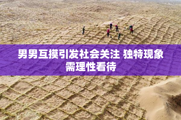 男男互摸引发社会关注 独特现象需理性看待