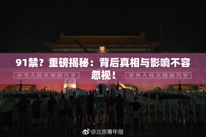 91禁？重磅揭秘：背后真相与影响不容忽视！