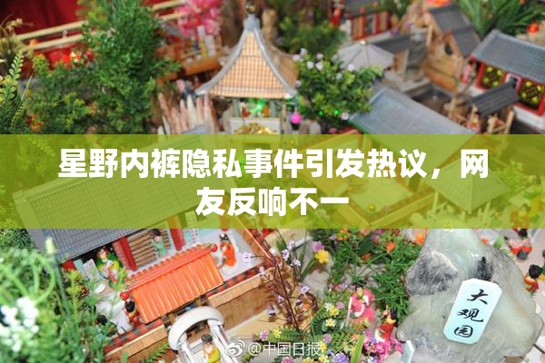 星野内裤隐私事件引发热议，网友反响不一