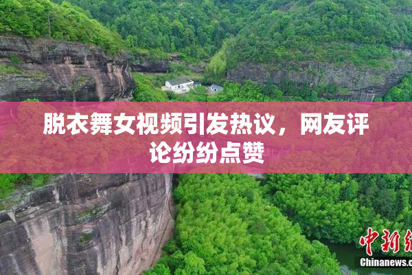 脱衣舞女视频引发热议，网友评论纷纷点赞