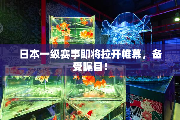 日本一级赛事即将拉开帷幕，备受瞩目！