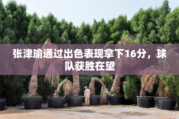 张津瑜通过出色表现拿下16分，球队获胜在望