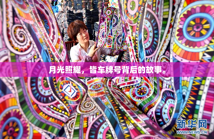 月光照耀，皆车牌号背后的故事。