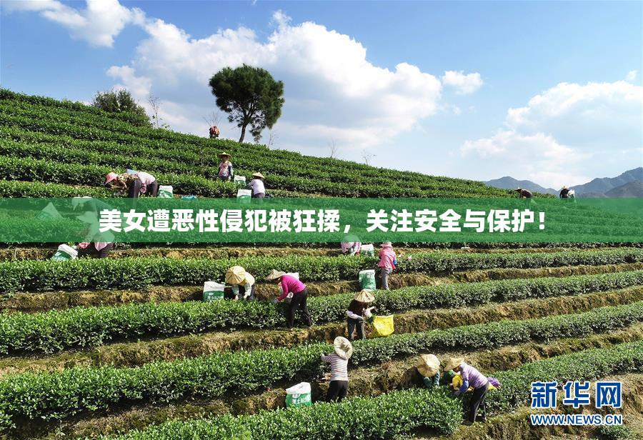 美女遭恶性侵犯被狂揉，关注安全与保护！