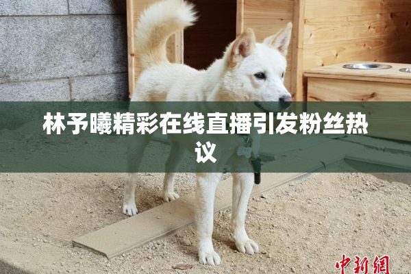 林予曦精彩在线直播引发粉丝热议
