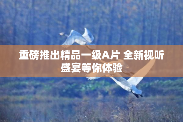重磅推出精品一级A片 全新视听盛宴等你体验