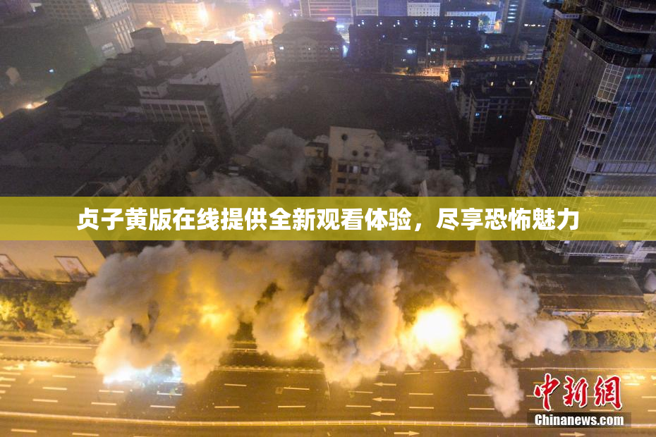 贞子黄版在线提供全新观看体验，尽享恐怖魅力