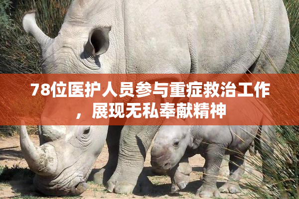 78位医护人员参与重症救治工作，展现无私奉献精神