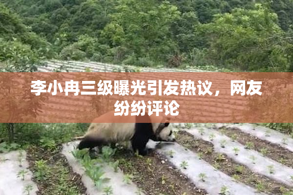 李小冉三级曝光引发热议，网友纷纷评论