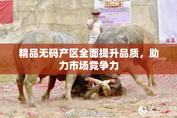 精品无码产区全面提升品质，助力市场竞争力