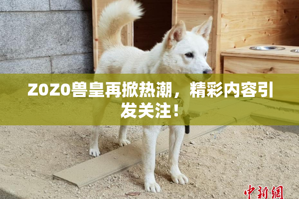 Z0Z0兽皇再掀热潮，精彩内容引发关注！