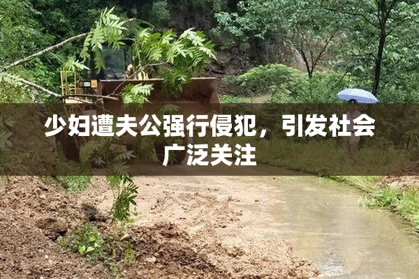 少妇遭夫公强行侵犯，引发社会广泛关注