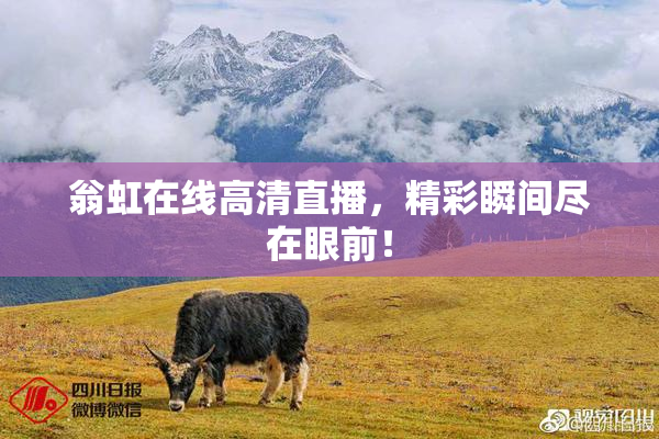 翁虹在线高清直播，精彩瞬间尽在眼前！