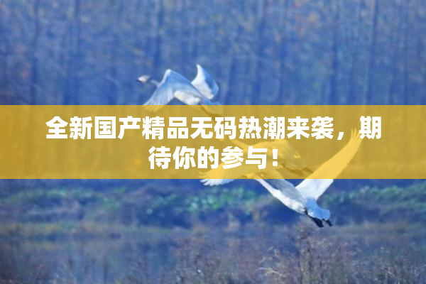 全新国产精品无码热潮来袭，期待你的参与！