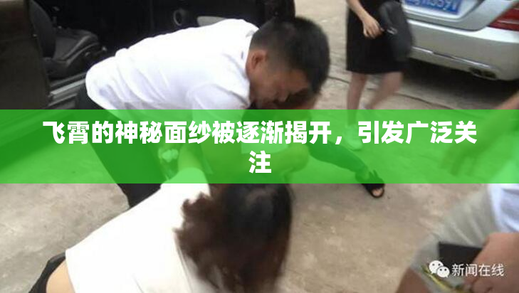 飞霄的神秘面纱被逐渐揭开，引发广泛关注