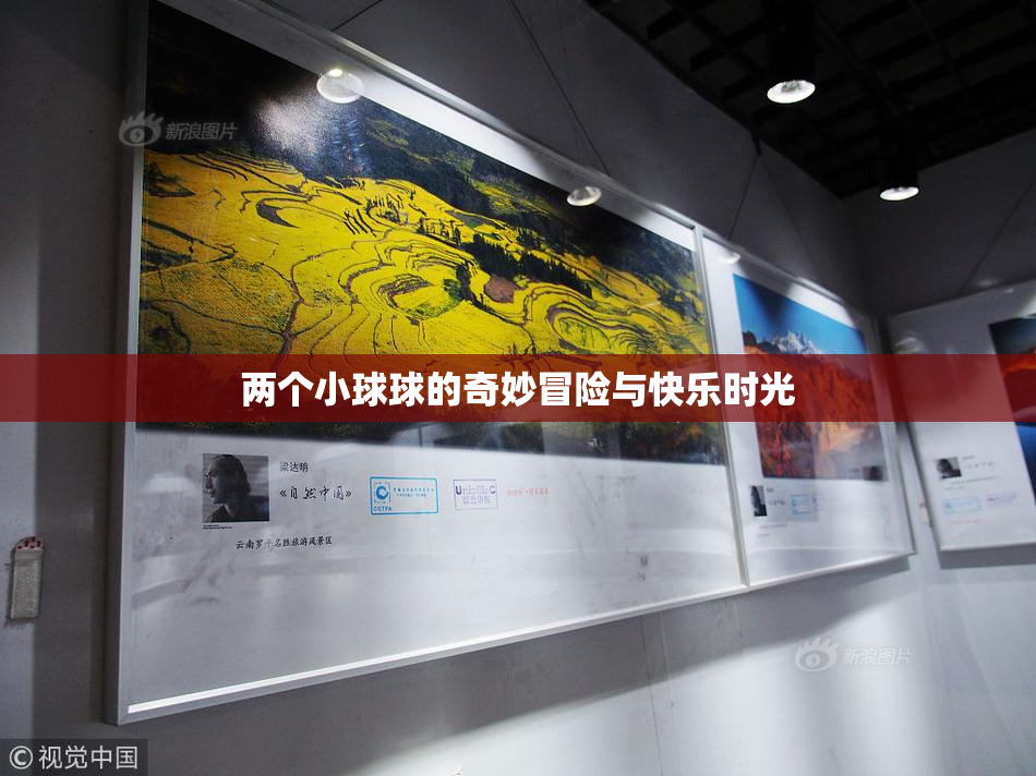 两个小球球的奇妙冒险与快乐时光