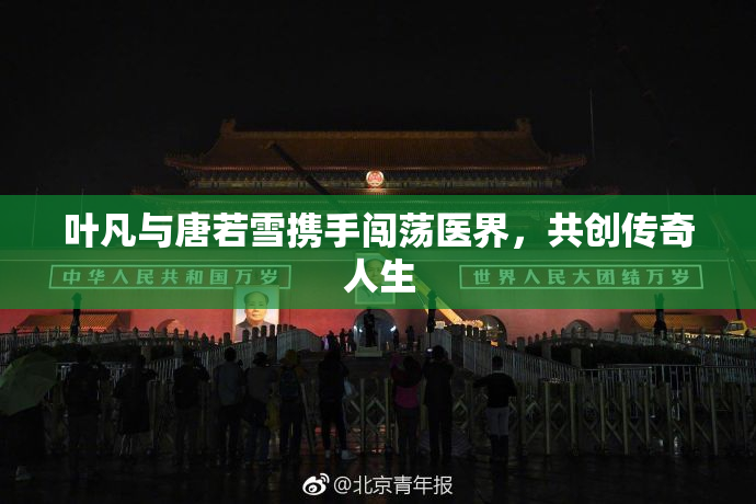 叶凡与唐若雪携手闯荡医界，共创传奇人生