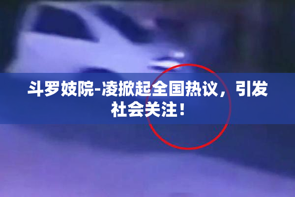 斗罗妓院-凌掀起全国热议，引发社会关注！