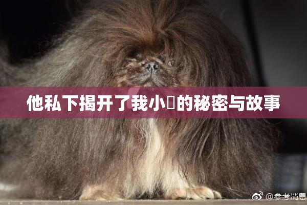 他私下揭开了我小泬的秘密与故事