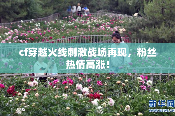 cf穿越火线刺激战场再现，粉丝热情高涨！