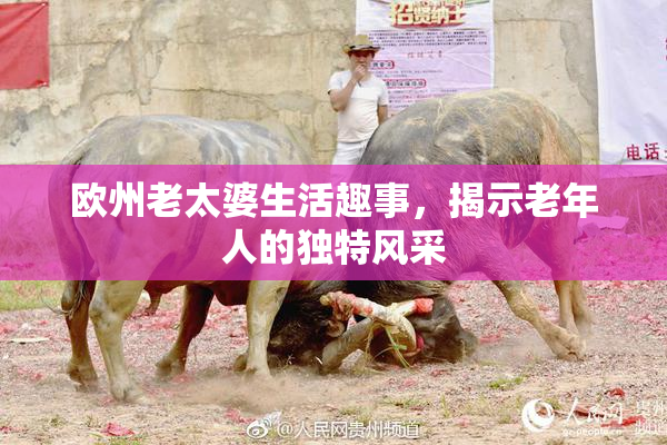 欧州老太婆生活趣事，揭示老年人的独特风采