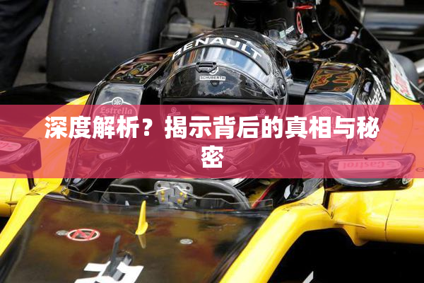 深度解析？揭示背后的真相与秘密