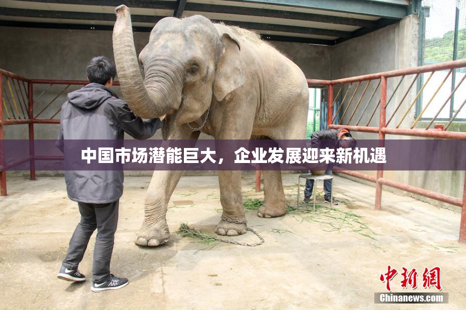 中国市场潜能巨大，企业发展迎来新机遇